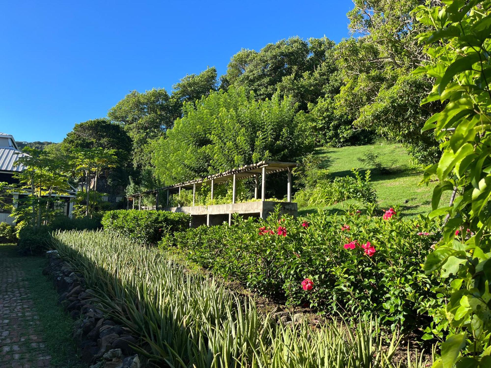 Firefly Estate Bequia Otel Crescent Beach Dış mekan fotoğraf