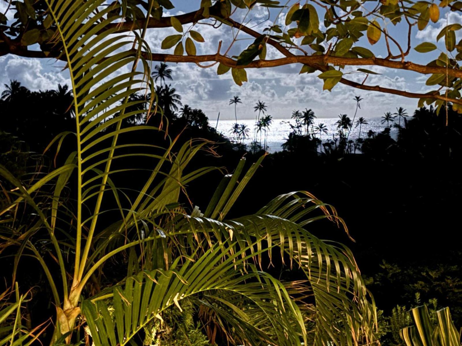 Firefly Estate Bequia Otel Crescent Beach Dış mekan fotoğraf