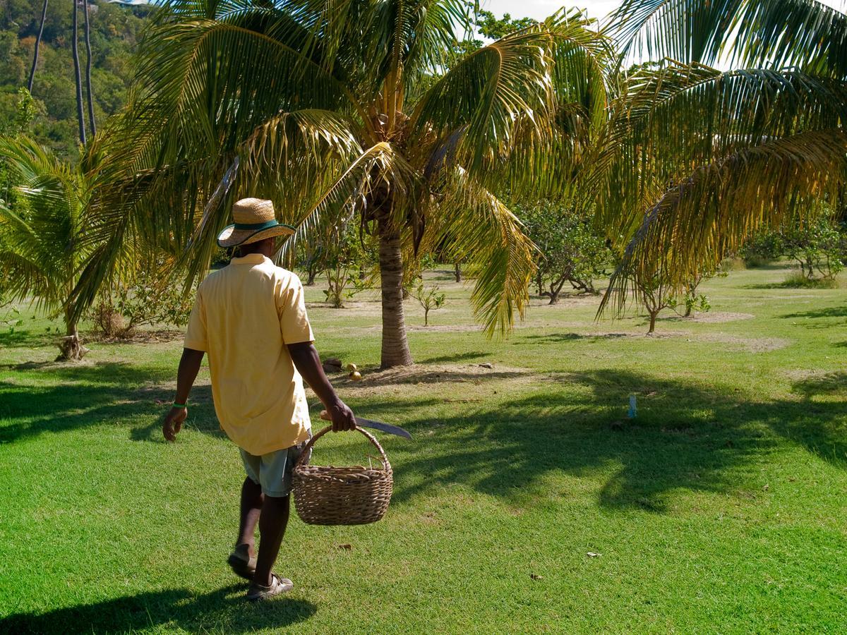 Firefly Estate Bequia Otel Crescent Beach Dış mekan fotoğraf