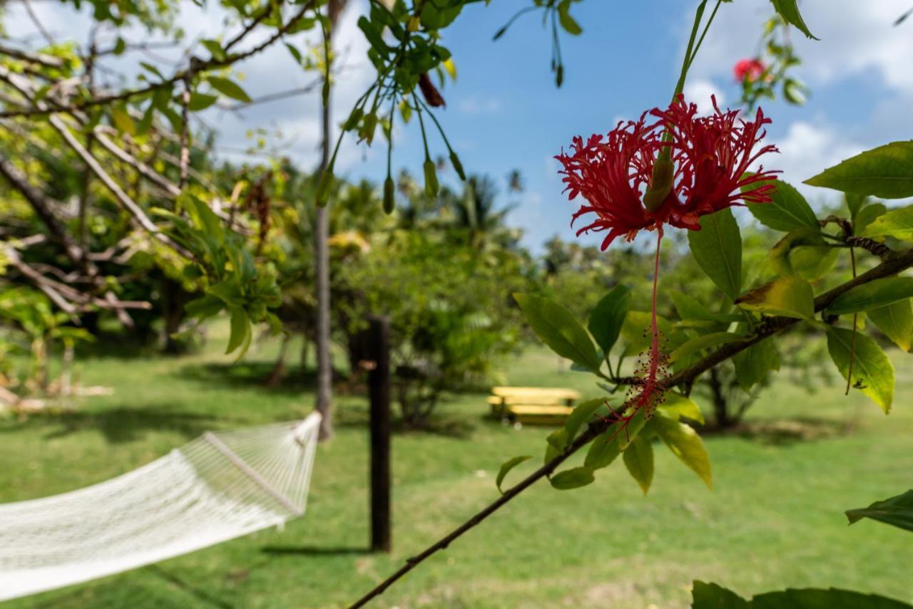 Firefly Estate Bequia Otel Crescent Beach Dış mekan fotoğraf