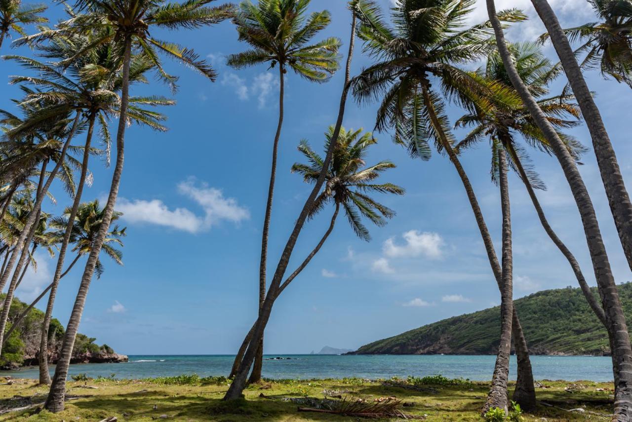 Firefly Estate Bequia Otel Crescent Beach Dış mekan fotoğraf